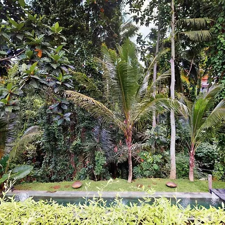 Six Cubes Ubud